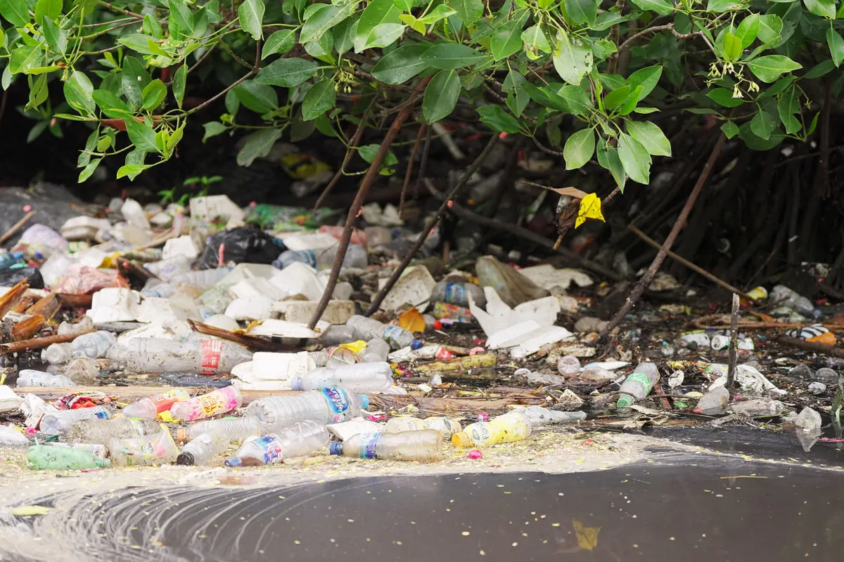 Plastic Waste In River Bali Trash.jpg