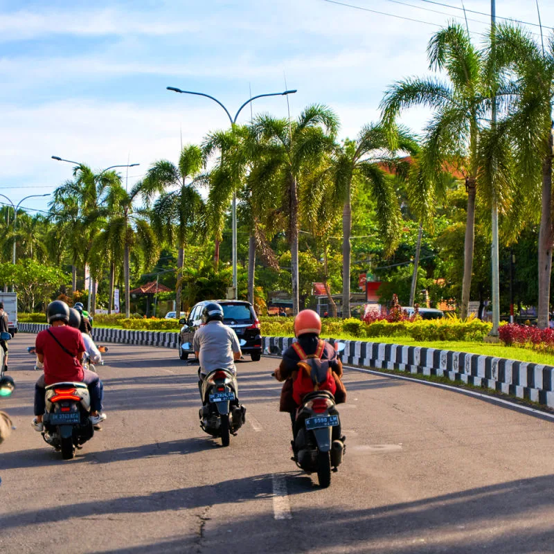 Moped Drivers On Highway in Bali