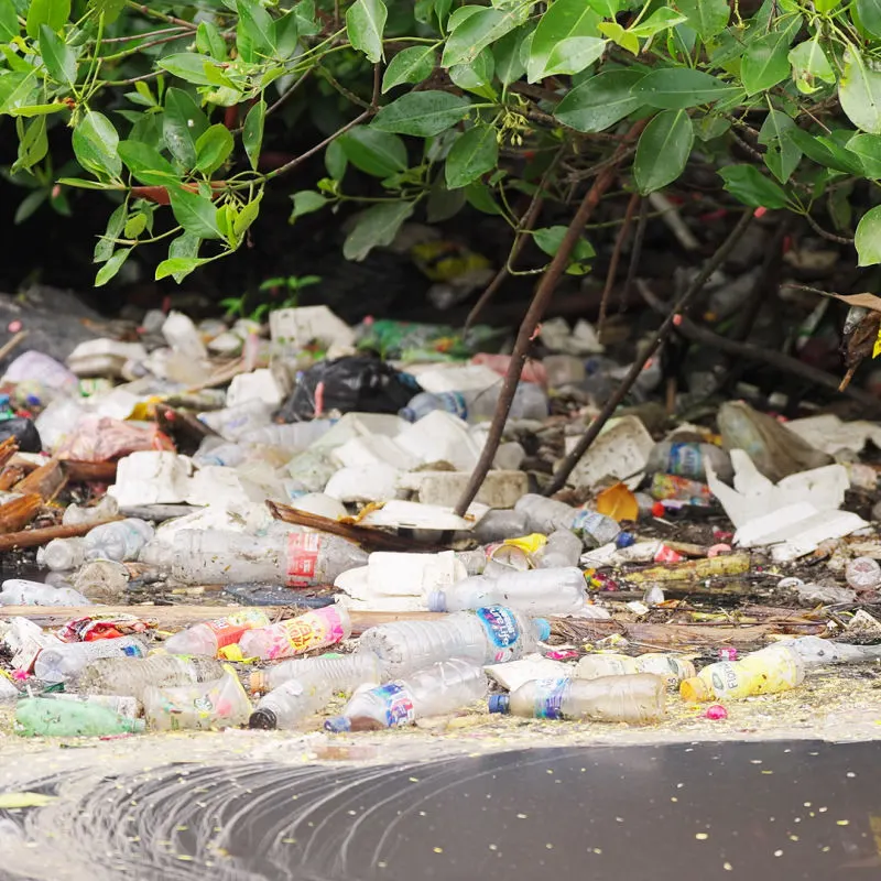 Plastic Waste In River Bali Trash