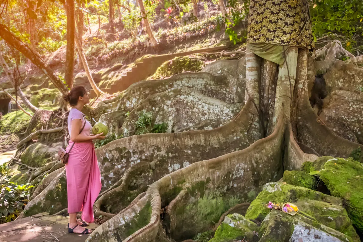 Woman Stands by Tree In Goa Gajah Temple Complex
