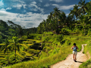 The Ultimate Bali Day Trip Ticks Off Tourist’s Bucket List Essentials And Much More