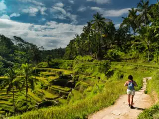 The Ultimate Bali Day Trip Ticks Off Tourist&rsquo;s Bucket List Essentials And Much More