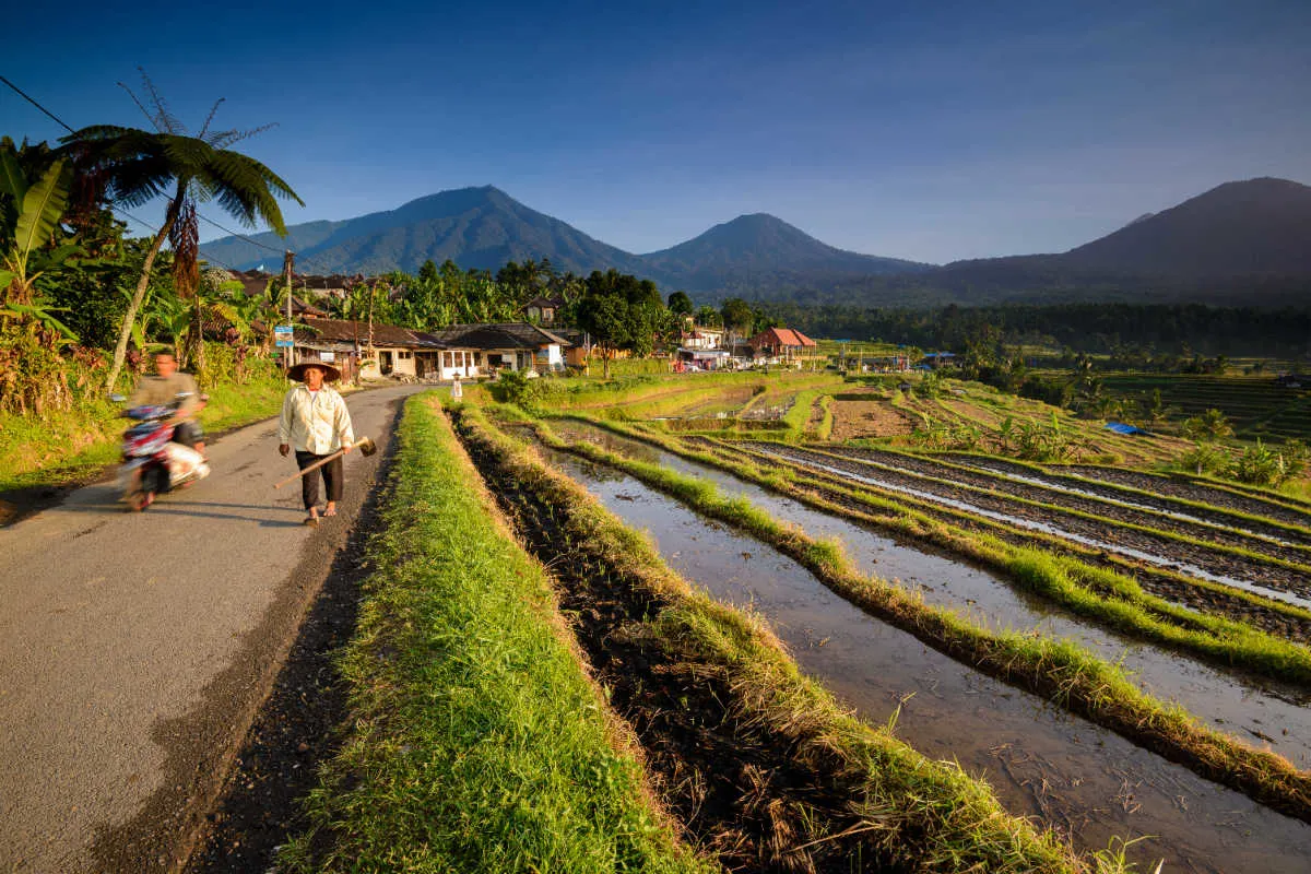 Local Famers Walk Down Street in Jatiluwih Tabanan Bali.jpg