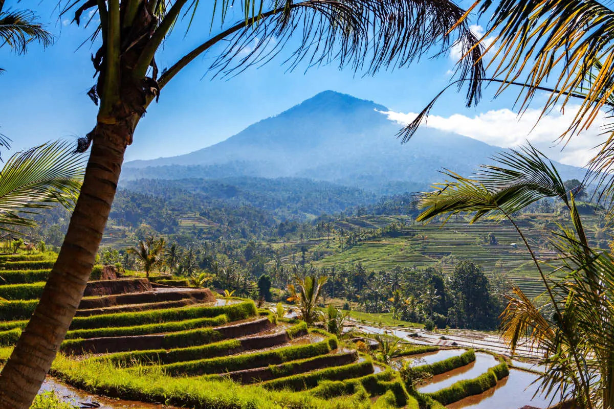 View of natural landscape in Bali of rice terraces and Tabanan hills.jpg