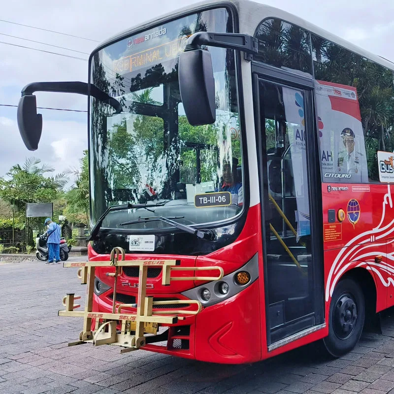 Trans Metro Dewata Bus.jpg