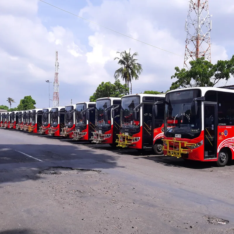 Trans Metro Dewata Buses in Bali