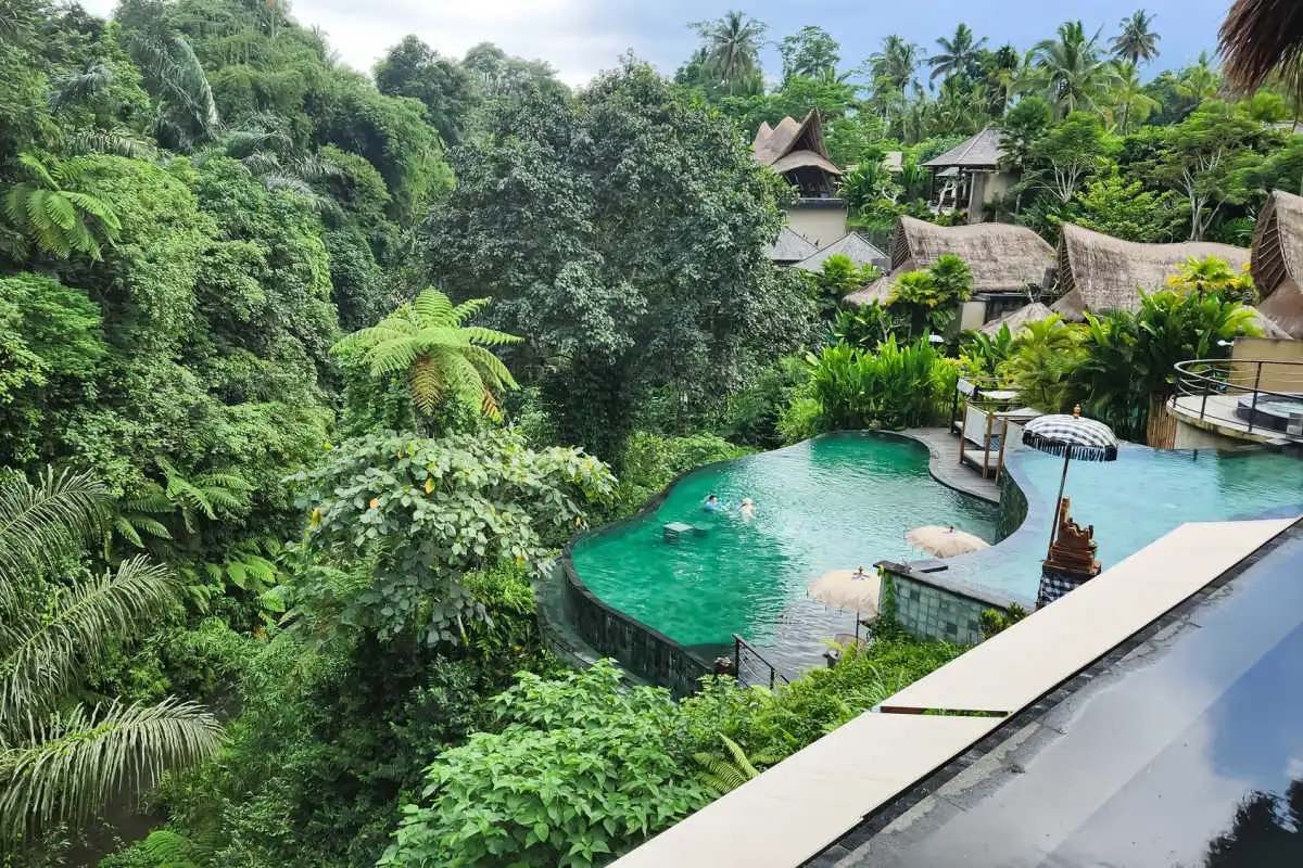 View of Ubud Hotel Resort Jungle Pool .jpg