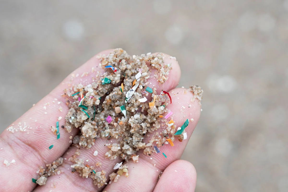 Microplastics on Hand.jpg