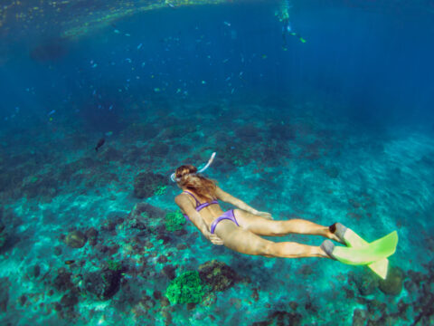 Bali's Best Snorkelling Spots Are Beginner Friendly And Guarantee Incredible Encounters