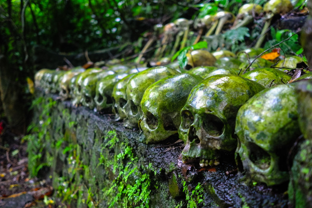Ancestors at Trunyan Hill Village Bali.jpg