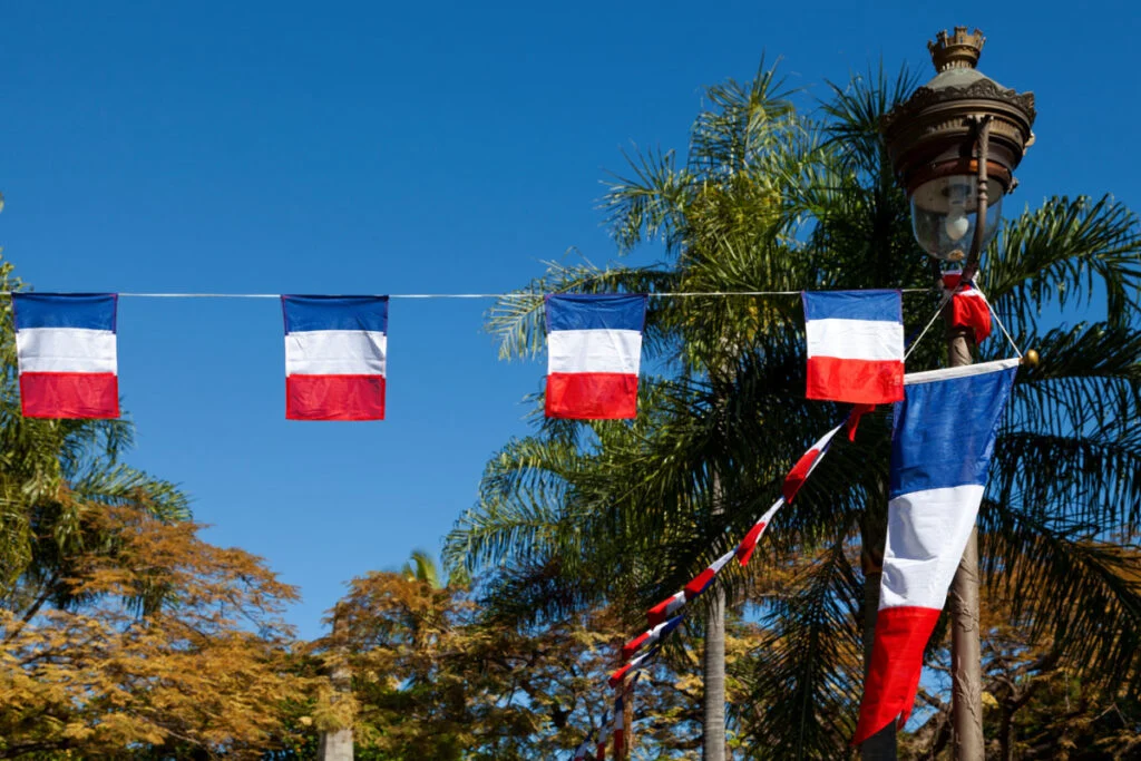 French Flags