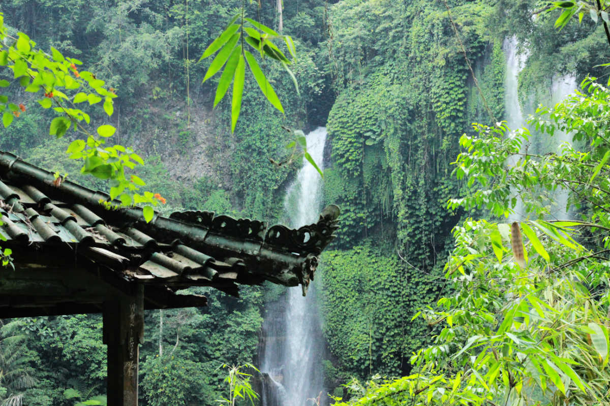 Waterfall in Munduk Area North Bali.jpg