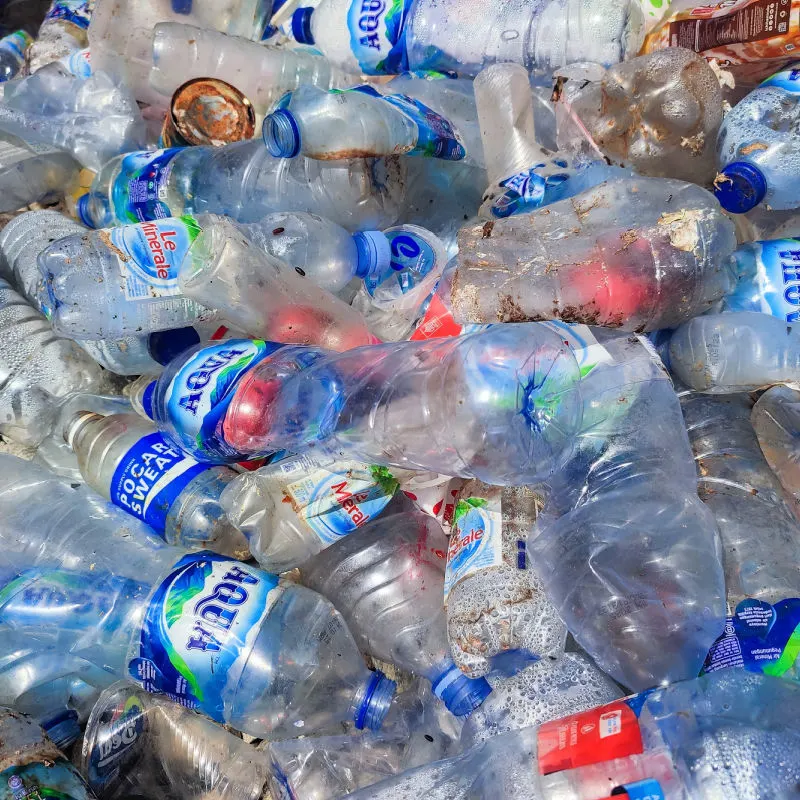 Plastic Bottles In Waste Bali