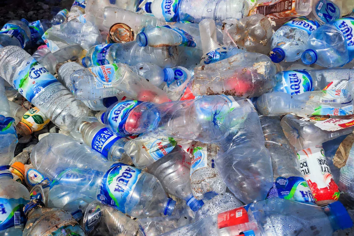 Plastic Bottles In Waste Bali.jpg