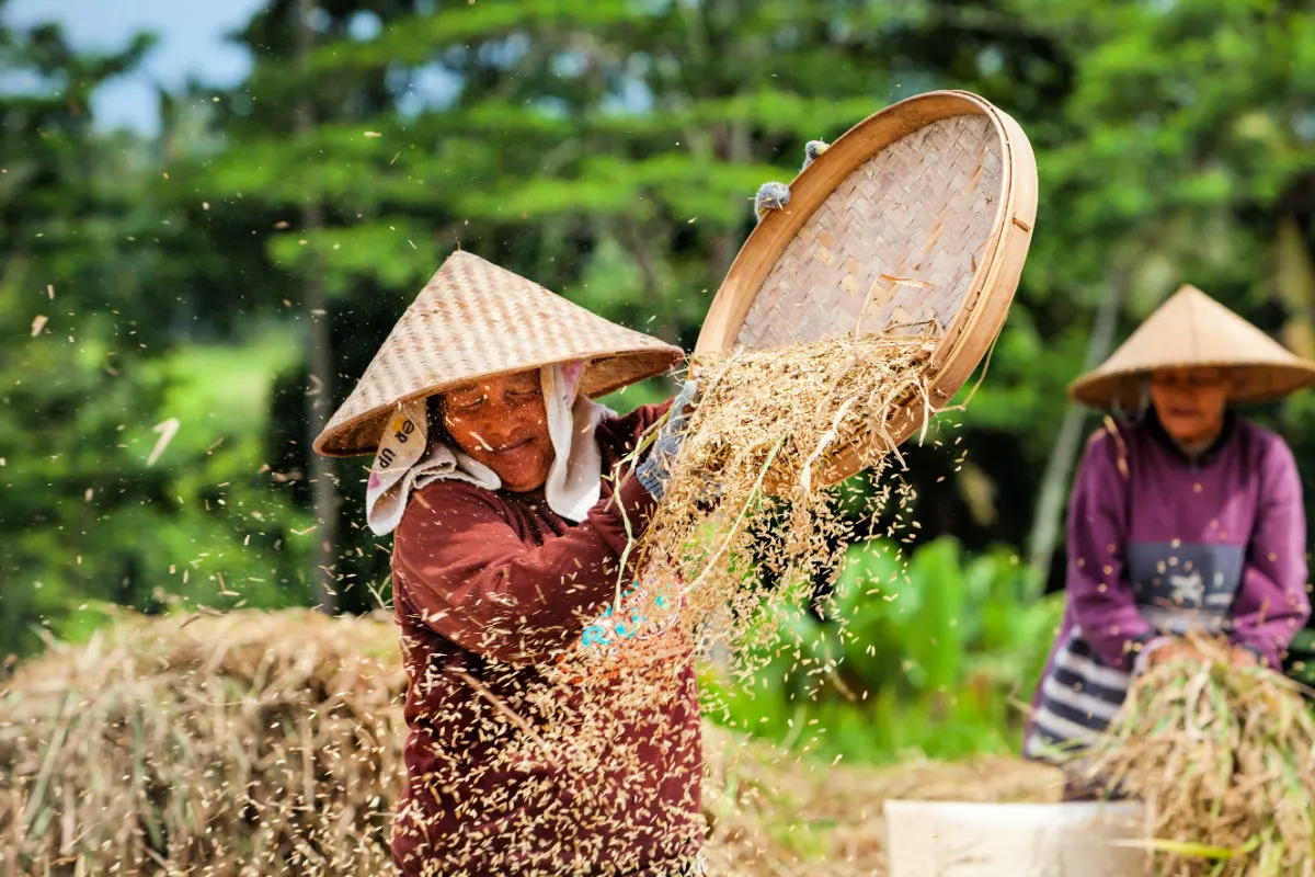 Ubud Food Festival Returns To Bali Bringing Tourists New Flavours And Incredible Culinary Flair