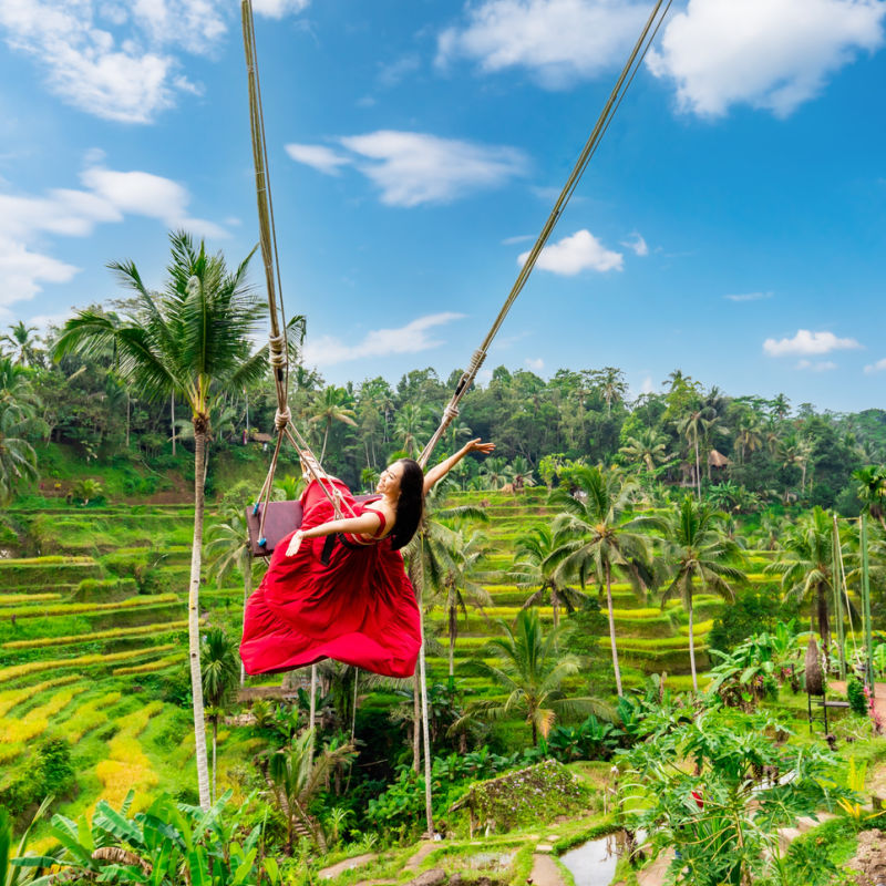 Woman on Bali Swing at Tegalalang Rice Terraces
