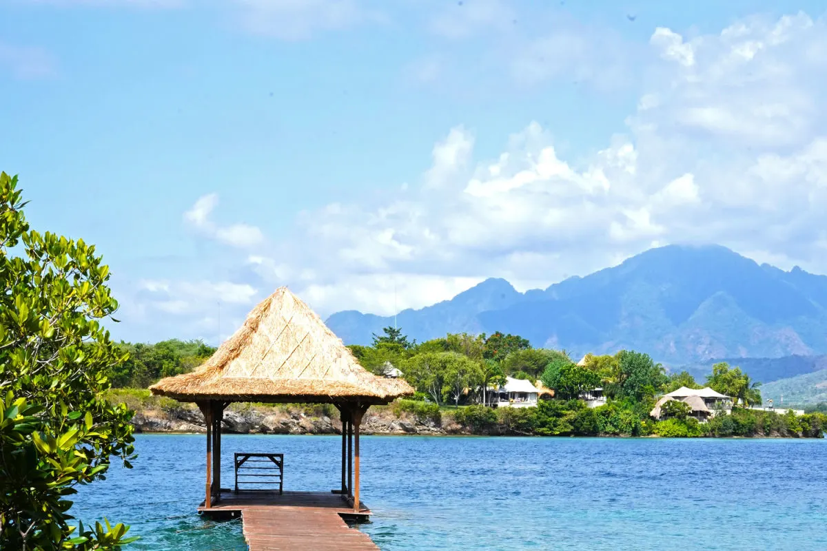 View of West Bali National Park .jpg