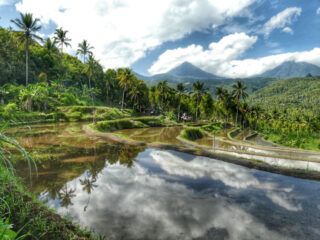 Bali Tourists Encourages To Explore West, North And East Of Island As Central South Becomes Busier