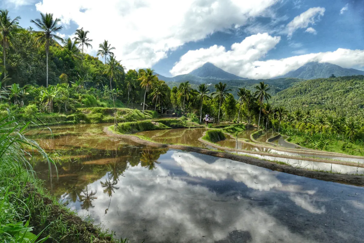 Bali Tourists Encourages To Explore West, North And East Of Island As Central South Becomes Busier