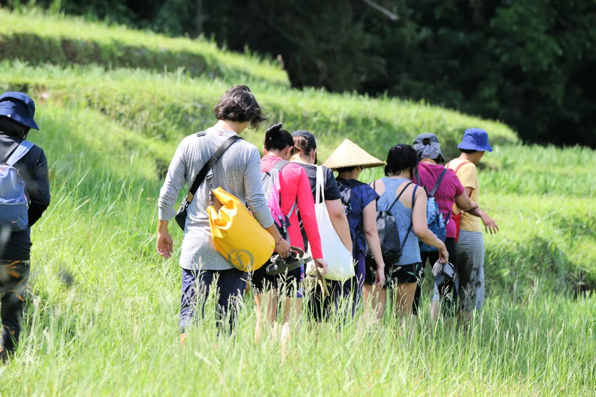 Tourist Walk Along Bali Hiking Trail