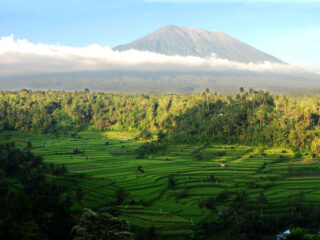 View of Mount Agung.jpg