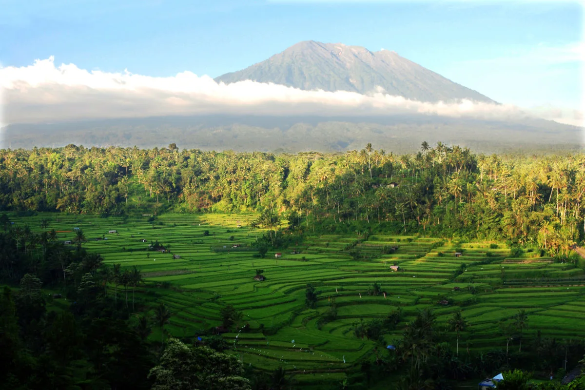 View of Mount Agung.jpg