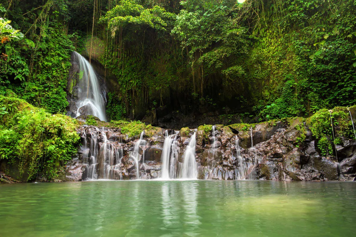 Waterfall in Bali.jpg