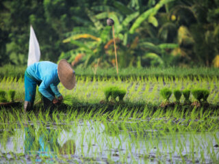 Indonesia’s Potential For World Class Regenerative Tourism Starts In Bali 