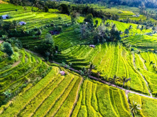 Tourist Access To This Famous Bali Viewpoint Is About To Get Easier