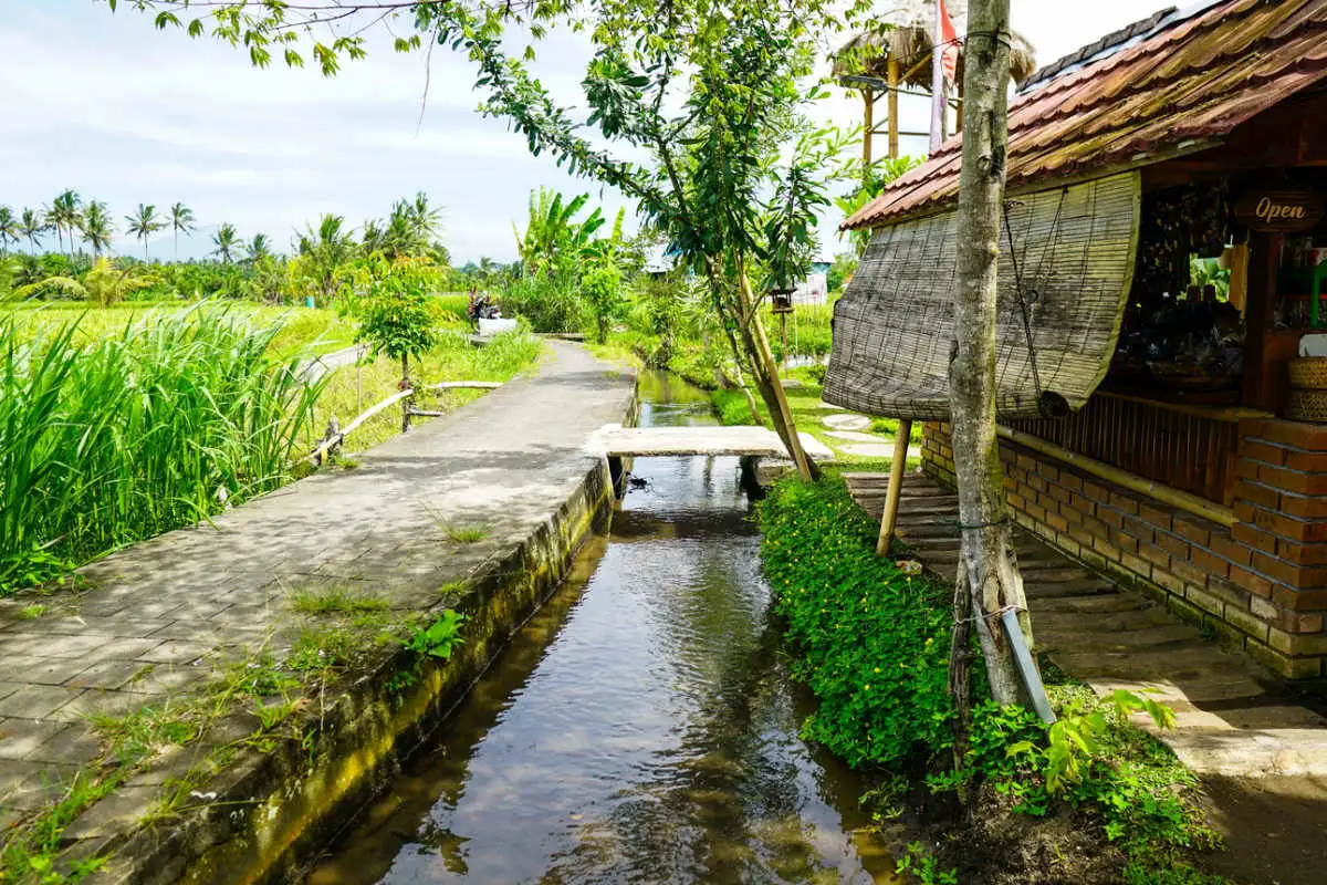 Subak In Rural Bali Village.jpg