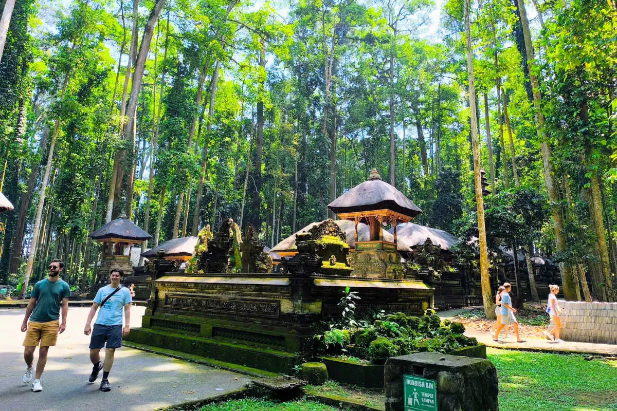 View of Sangeh Monkey Forest in Bali.jpg
