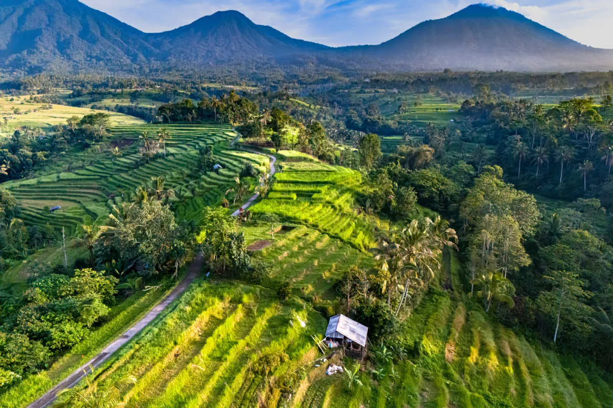 View of Jatiluwih Rice Terraces in Bali