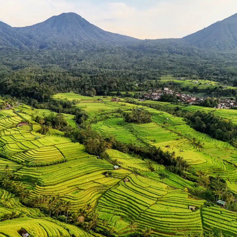 Tabanan Hills and Rice Terraces in Bali
