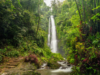 Tourists Can Get A Taste For Authentic Rural Life In New North Bali Destination