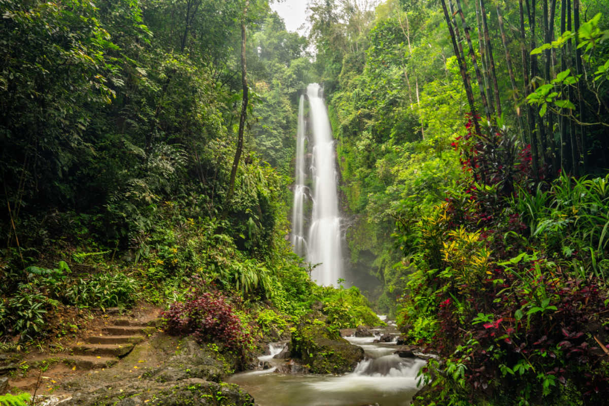 Gigit Waterfall in North Bali.jpg