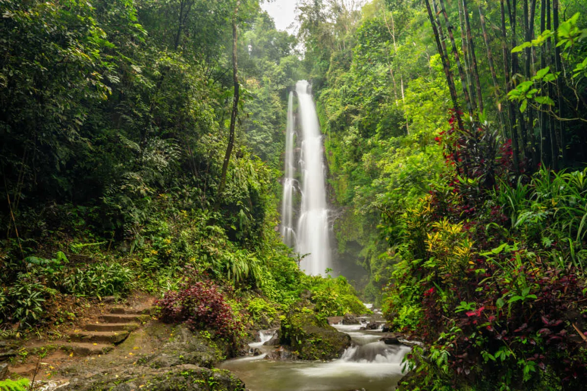 Gigit Waterfall in North Bali.jpg