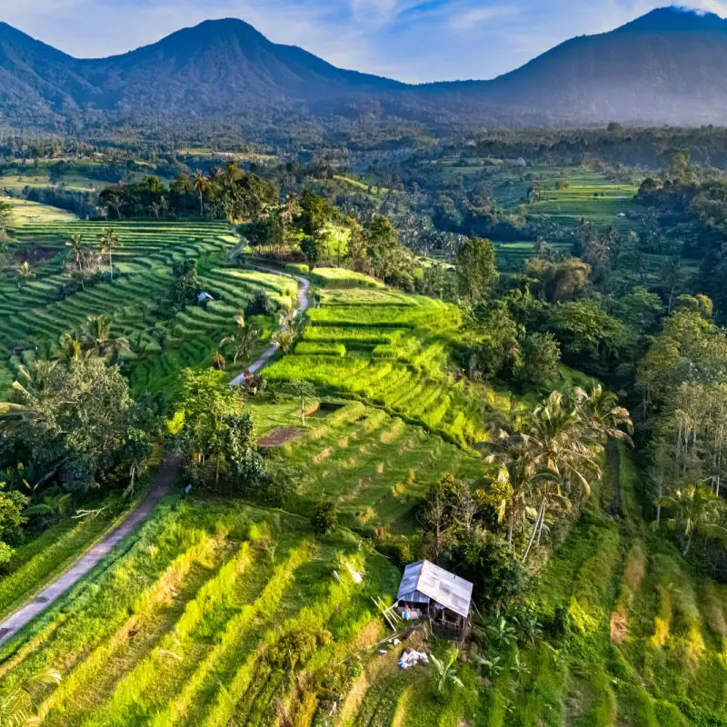 View of Jatiluwih Rice Terraces