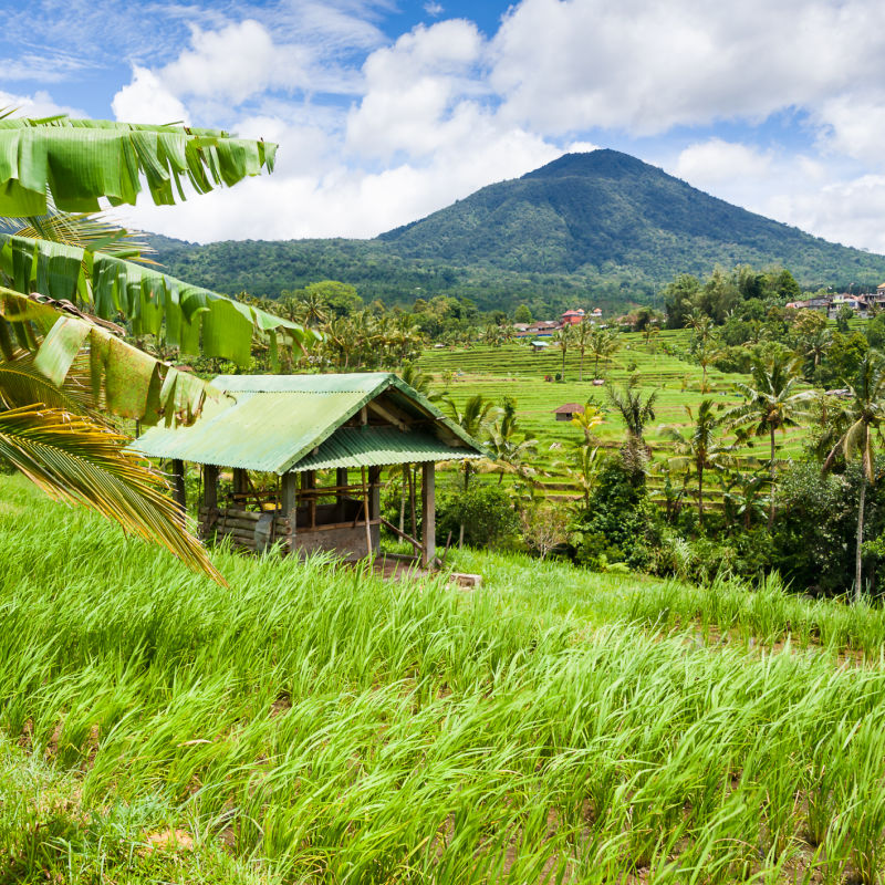 View of Mount Batukaru and Jatiluwih Rice Terraces