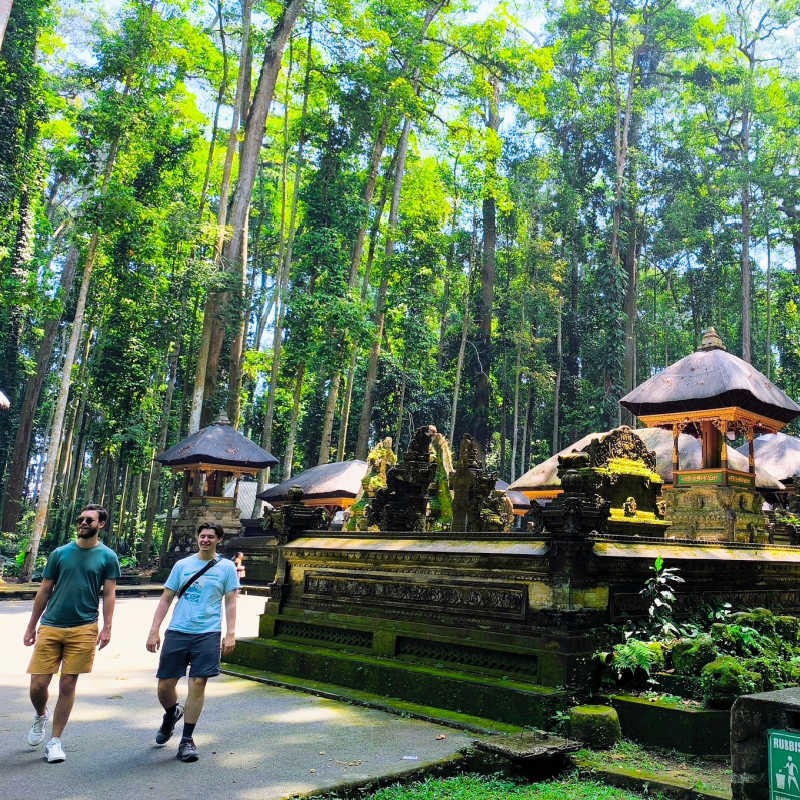 View of Sangeh Monkey Forest in Bali