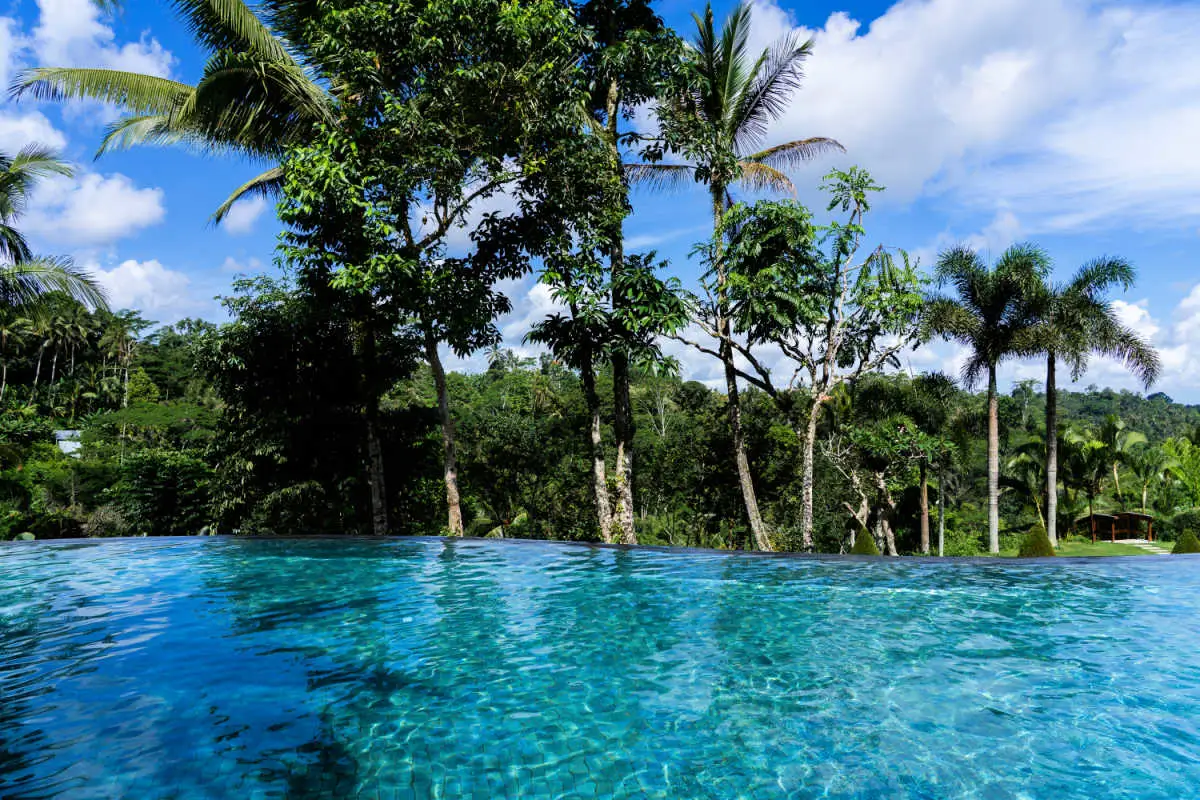 View from Infinity Pool in Ubud Bali Luxury Hotel.jpg