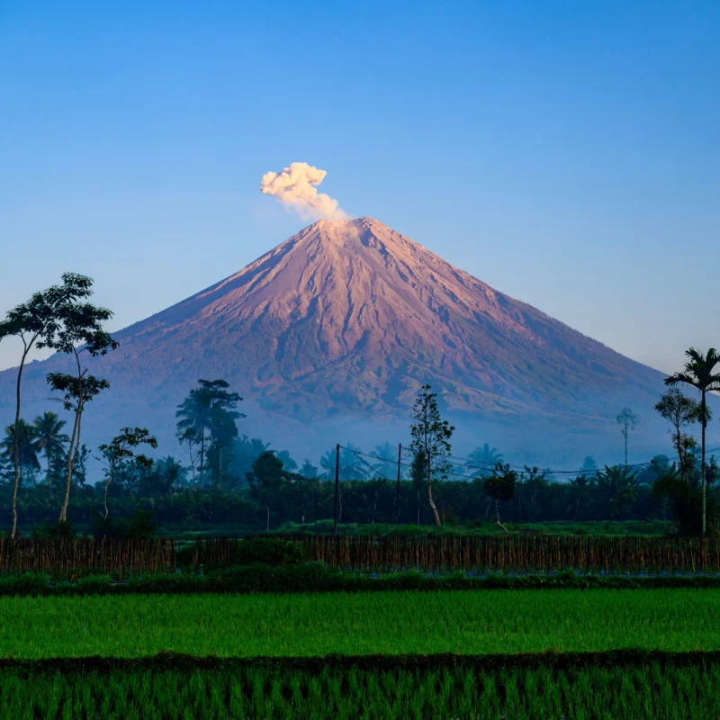Mount Semeru Erupt Volcano Indonesia