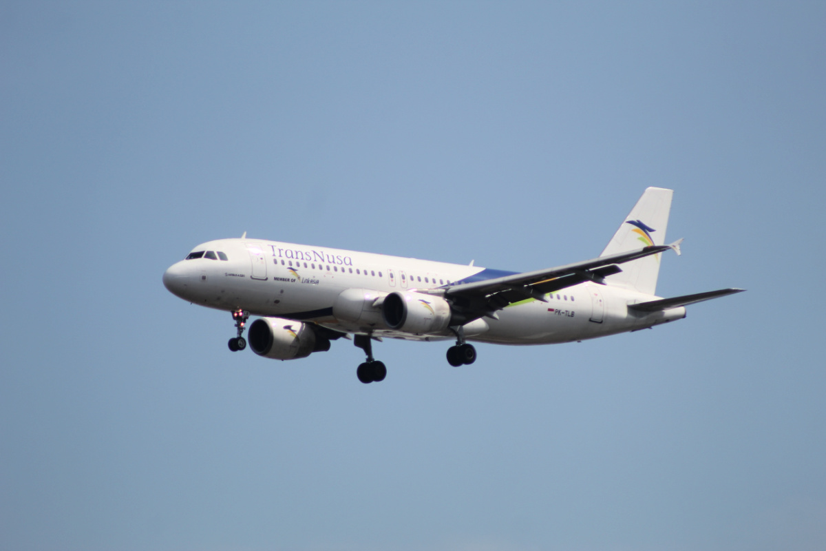TransNusa Plane .jpg