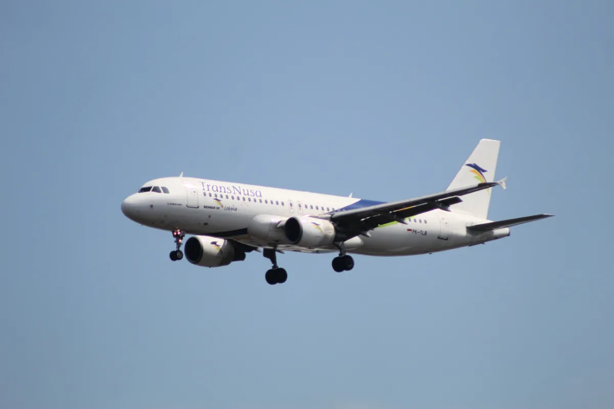 TransNusa Plane .jpg
