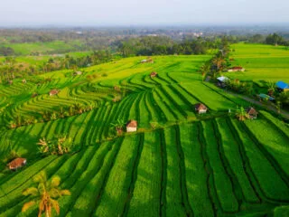 As Indonesia Launches New AI Travel Tools Tourists Ask How Tech Will Transform Bali Vacations