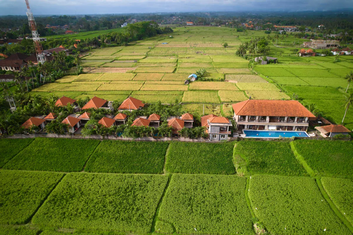 New villas in Bali Rice Paddies.jpg