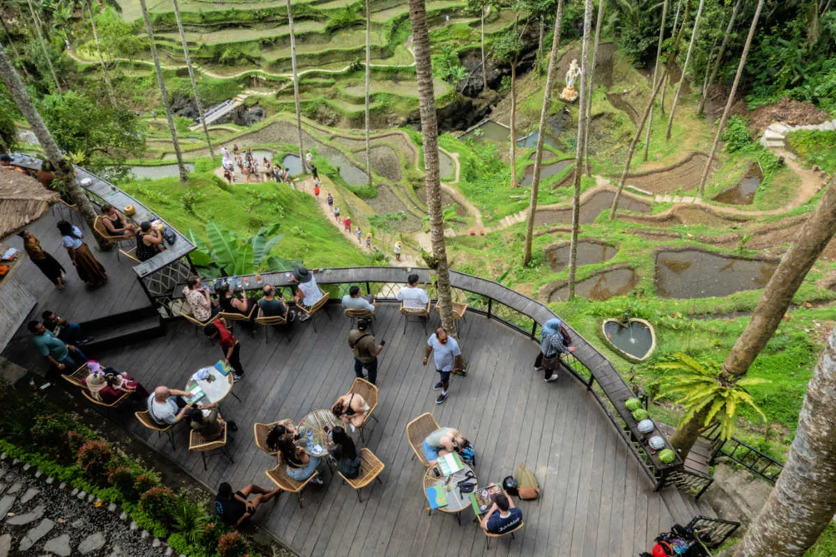View of Bali Ubud Tegalalang Rice Terraces.jpg