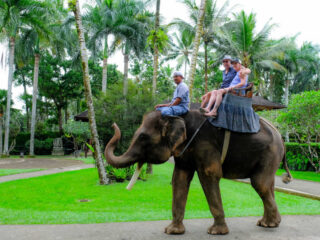 Bali Encouraged To Stop Elephant Riding At Tourist Attractions&nbsp;