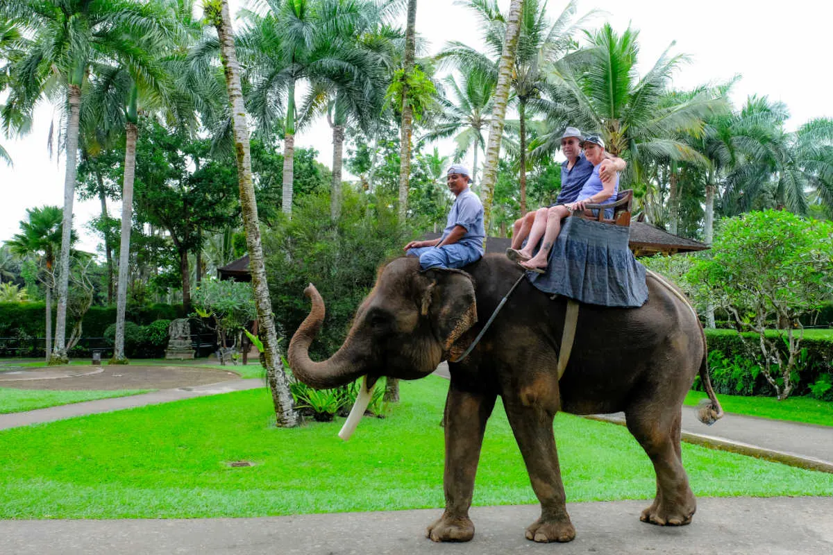Elephant Ride in Bali.jpg