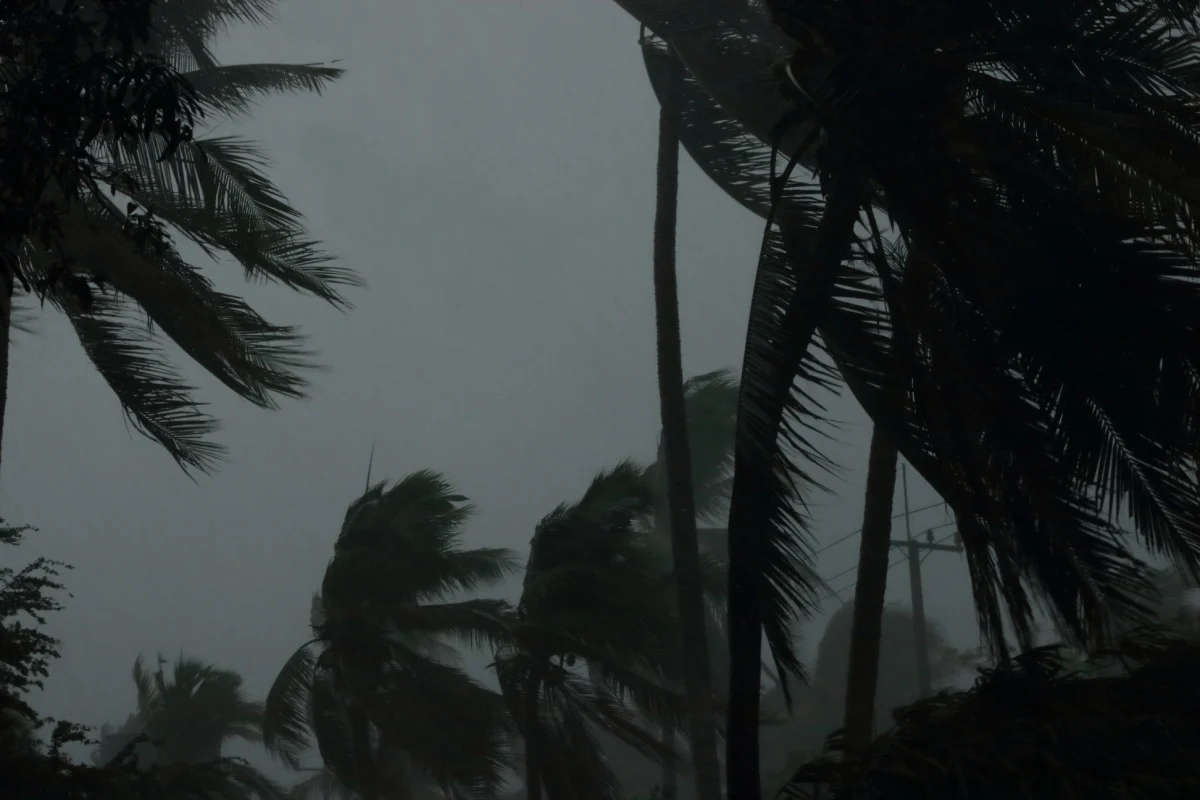 Storm Rain Extreme Weather over Palm Trees in Bali.jpg