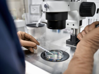 Bali Medical Tourists Will Soon Have Access To World Class Fertility Treatment 